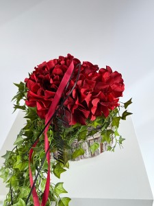 IMG_4427.JPG