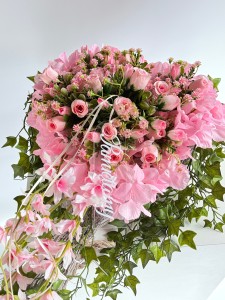 IMG_4331.JPG